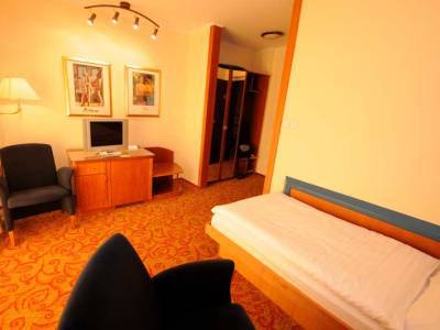 Rožnov pod Radhoštěm Hotel Eroplan מראה חיצוני תמונה